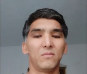 Alisher M, 43 года, Бишкек