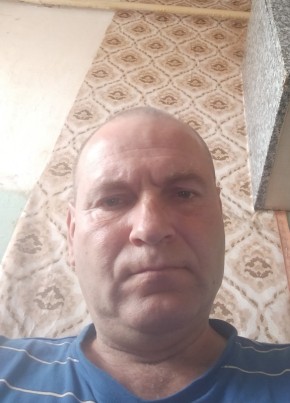 Виктор, 49, Рэспубліка Беларусь, Берасьце