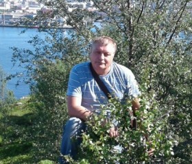 Владимир, 62 года, Mountain View