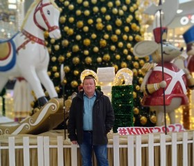 Николай Васильев, 60 лет, Челябинск