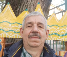 Евгений, 66 лет, Пермь