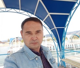 Али Жаркынович, 54 года, Бишкек
