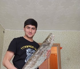 Shahrom, 26 лет, Душанбе
