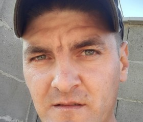 Pavel, 34 года, Arad