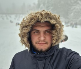 Пётр, 26 лет, Willebroek