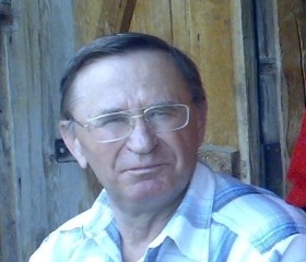 Владимир, 75 лет, Нижний Новгород