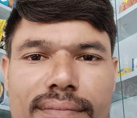 jignesh, 36 лет, Rajkot