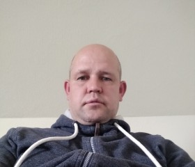 Prikolny, 43 года, Bad Essen