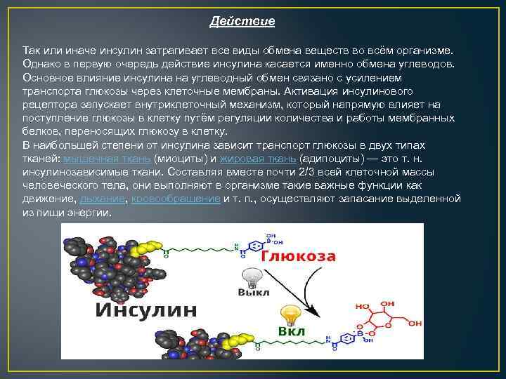 На что влияет инсулин