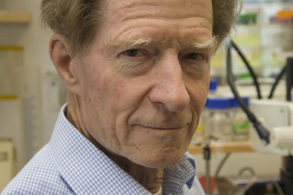 Professor John B. Gurdon was the joint winner of the 2012 Nobel Prize in Physiology or Medicine © Gurdon Institute
