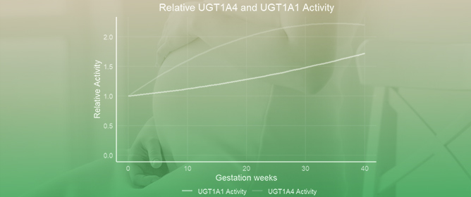 Physiologically Based Pharmacokinetic Modelling of UGT Substrate Drugs Lamotrigine and Raltegravir during Pregnancy