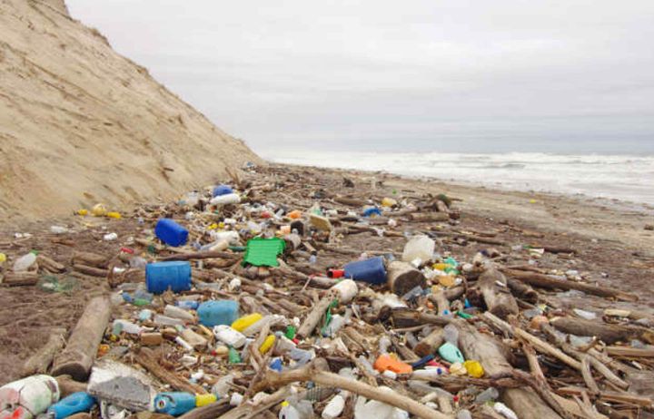 Beach covered with plastic