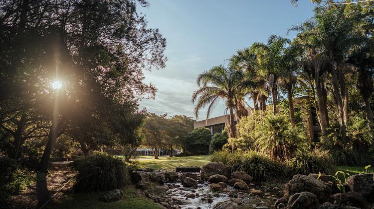 McKinnon Lawn UOW Wollongong campus