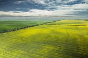 Climate change: 10 Australian farms for sale poised for carbon sequestration projects