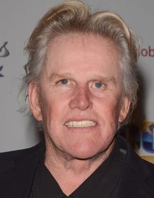 Gary Busey