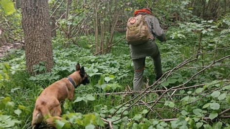 «Мы не можем спасти каждого»: как в Воронеже искали пропавшую пенсионерку с деменцией