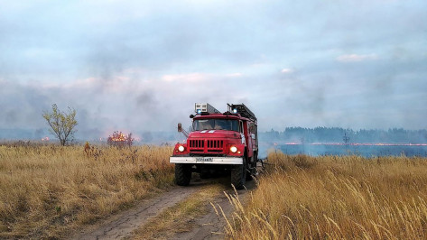 В Воронежской области из-за жары выросла опасность пожаров