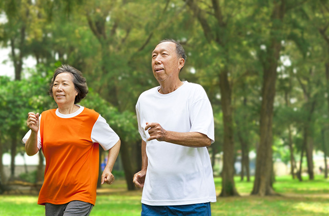 27903182 - happy senior couple running together in the park