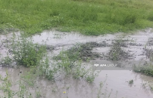 Проливные дожди нанесли ущерб инфраструктуре ряда сел Шеки