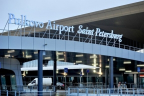 Аэропорт Пулково обязали обезопасить самолеты от птиц