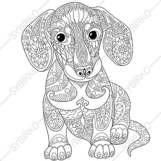 Dachshund Sausage Dog Coloring Page. Adult by ColoringPageExpress: 