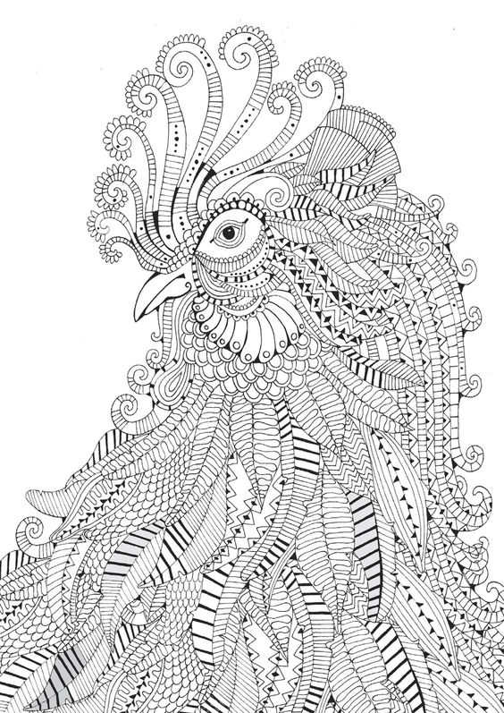 Adult Coloring Pages: Rooster 3                                                                                                                                                                                 More: 