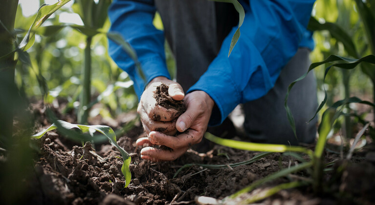 Closeup of Yara agronomist hands in soil