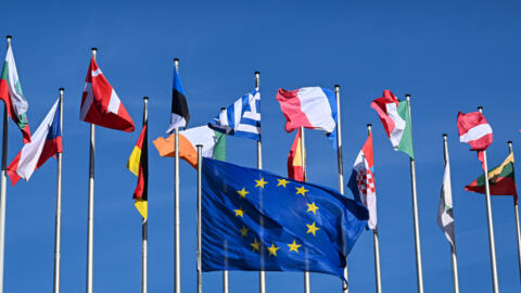Des drapeaux des pays de l'UE devant le Parlement européen à Strasbourg (Est de la France) le 25 mars 2024