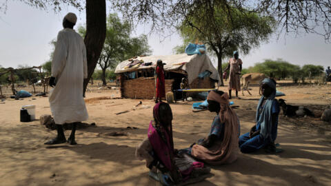 لاجئون سودانيون فروا من العنف في إقليم دارفور بالسودان يجلسون بجوار مأواهم المؤقت بالقرب من الحدود بين السودان وتشاد في كفرو، تشاد 15 مايو 2023.