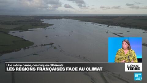 chronique élément terre