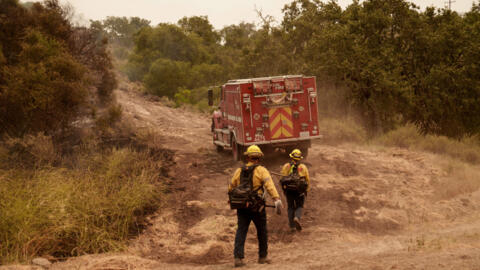 Firefighters work against the advancing Lake Fire in Los Olivos, Calif., Saturday, July 6, 2024.