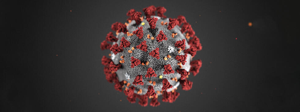 Le virus Sars-CoV-2 modélisé.