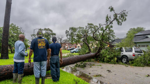 Residents assess a fallen tree in their in their neighborhood after Hurricane Beryl swept through the area on July 8, 2024 in Houston, Texas.