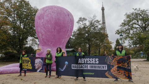 Des activistes de Greenpeace lors d'une action contre l'exploitation minière des fonds marins par la Norvège, le 10 novembre 2023 à Paris.