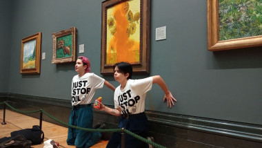 activists with their hands glued to the wall under Vincent van Gogh&apos;s &quot;Sunflowers&quot; after throwing tomato soup on the painting at the National Gallery in central London