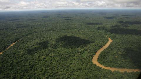 O uso ilegal de plantas medicinais por povos indígenas da Amazônia é um dos exemplos de biopirataria