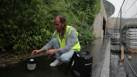 Funcionário da Agência Regional de Saúde verifica presença do mosquito Tigre perto do Stade de France, nos arredores da capital, onde ocorrerão diversas competições durante os Jogos Olímpicos.