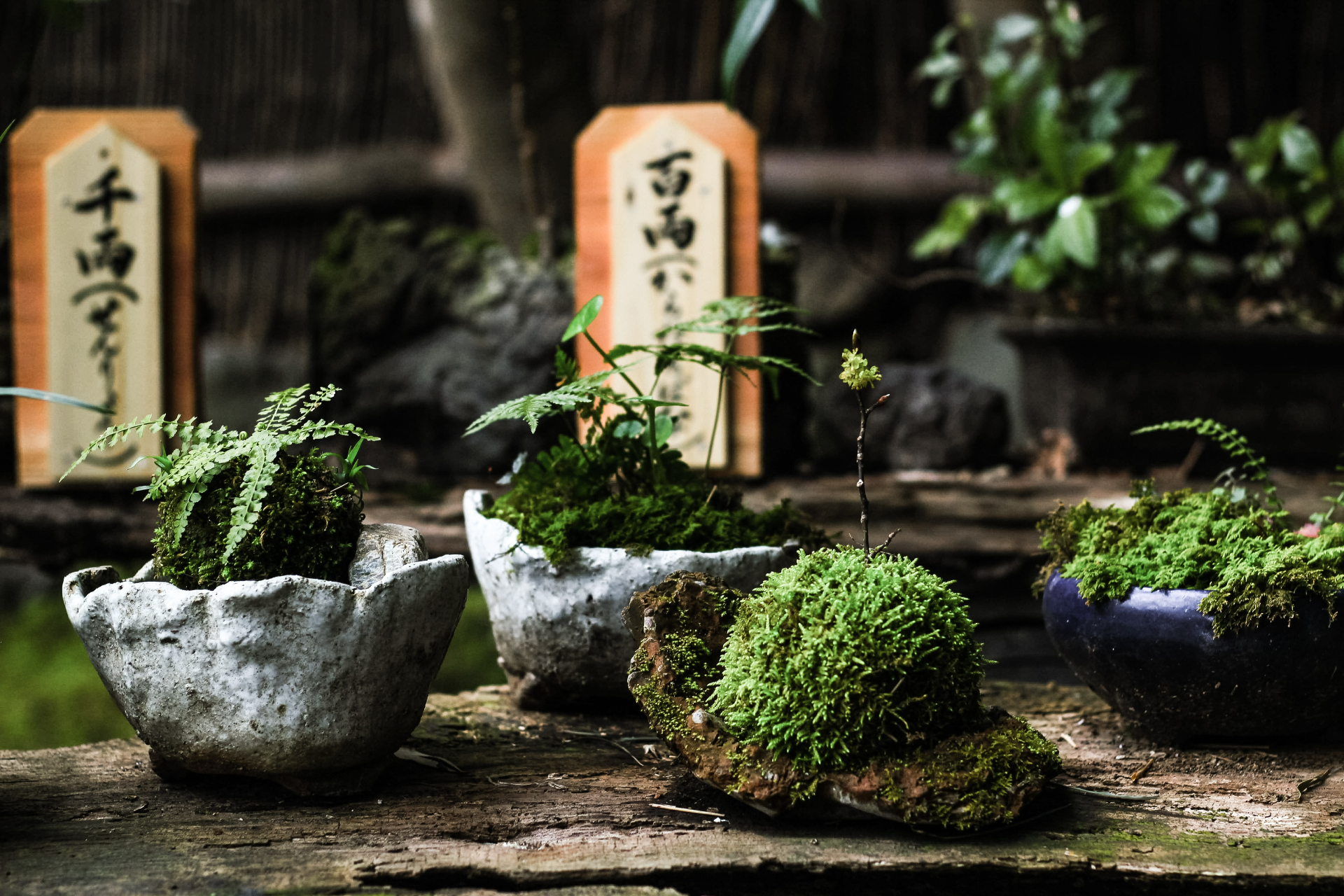 Японцы применяют принцип помещения большого в малом &mdash; карликовые растения заменяют большие кусты и деревья, а миниатюрные водоемы и композиции из камней символизируют озера и скалы