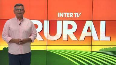 Íntegra do Inter TV Rural deste domingo, 28 de abril de 2024 - Cácio Xavier apresenta as notícias do campo.