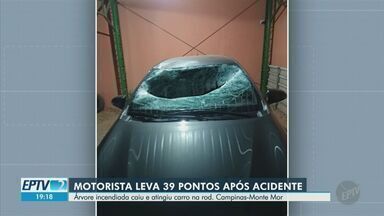 Árvore incendiada cai e atinge carro na rodovia Campinas-Monte Mor - O motorista do veículo passa bem, mas levou 39 pontos na região pélvica