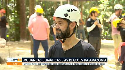 No AM, torres são construídas para observas como a floresta reage a emissão de gases