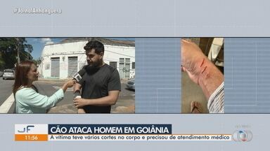 Homem é atacado por cachorro em Goiânia - Vítima sofreu com vários cortes no corpo e precisou de atendimento médico.