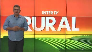 Íntegra do Inter TV Rural deste domingo, 12 de maio de 2024 - Telejornal mostra as notícias do campo.