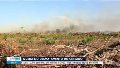 Entidades que monitoram clima alertam para impactos do desmatamento no cerrado - O desmatamento caiu 12,9% este ano, em relação a 2023, mas Matopiba segue em alerta.