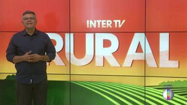 Íntegra do Inter TV Rural deste domingo, 31 de março de 2024 - Telejornal mostra as notícias do campo.