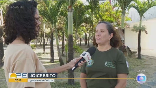 Saiba o que fazer ao se deparar com animais silvestres - Programa: Bom Dia PE 