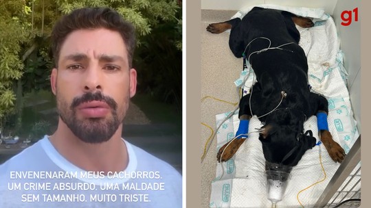 Cauã Reymond diz que dois cachorros seus foram envenenados - Programa: G1 Pop&Arte 