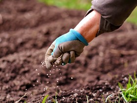 Petrobras e Yara dão novo passo para estruturar parceria em fertilizantes