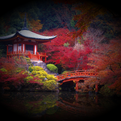 Daigo_ji_Temple_in_Autumn_Kyoto_Japan_Wallpaper.th.png