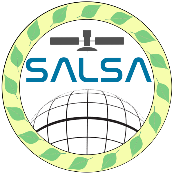 SALSA Team logo